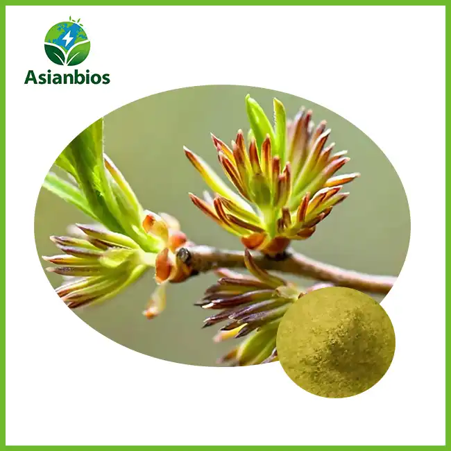 Eucommia Male Flower Extract
